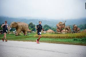 BIB: 
                            <button type="button" onclick="openModal(22406358)" class="btn btn-primary btn-sm float-right btn-popup" data-toggle="modal" data-target=".modal-high-quality">
                        <i class="fas fa-shopping-cart"></i> Add to Cart
                    </button>
                                            <button type="button" onclick="isThisMe(22406358, true)" class="btn btn-success btn-sm float-right btn-popup btn-isme hidden" data-toggle="tooltip" data-placement="bottom" title="นี่คือรูปของคุณใช่ไหม คลิกที่นี่เพื่อเอาเข้าอัลบั้ม">
                        <i class="fas fa-plus"></i> Add to album
                    </button>
                    <button type="button" onclick="isThisMe(22406358, false)" class="btn btn-warning btn-sm float-right btn-popup btn-isnotme hidden">
                        <i class="fas fa-ban"></i> Remove from album
                    </button>